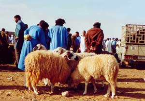 Le marché et les "hommes en bleu"